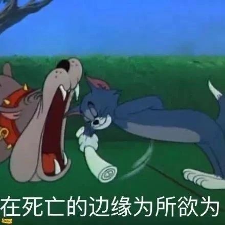 小姐姐幽默搞笑表情包,表情包可爱搞笑免费取图