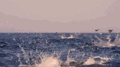 最值得听的十首中文说唱,盘点2022年最好听的说唱