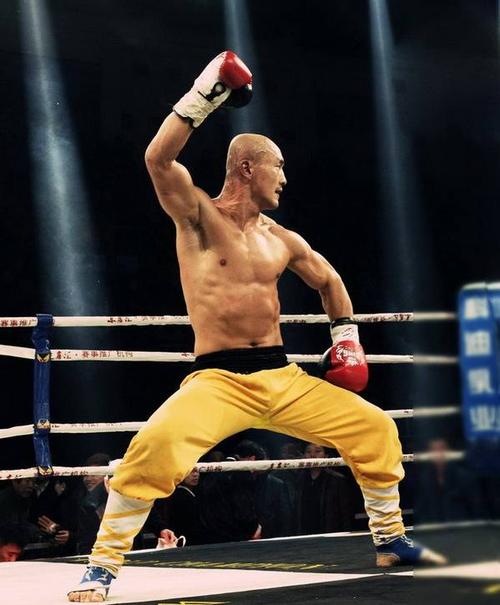 武僧一虎与武僧一龙是什么关系,武僧一龙是真打还是假打