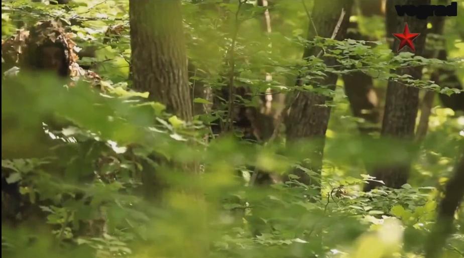 俄罗斯反恐部队成功伏击恐怖分子,俄罗斯反恐有多硬核真实录像