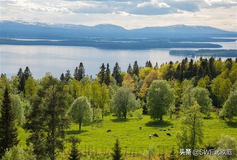 新风系统家庭用处大吗,广东家庭新风系统都有哪些