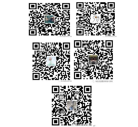 哈尔滨第二批超市购物平台,哈尔滨网上购物平台哪个好