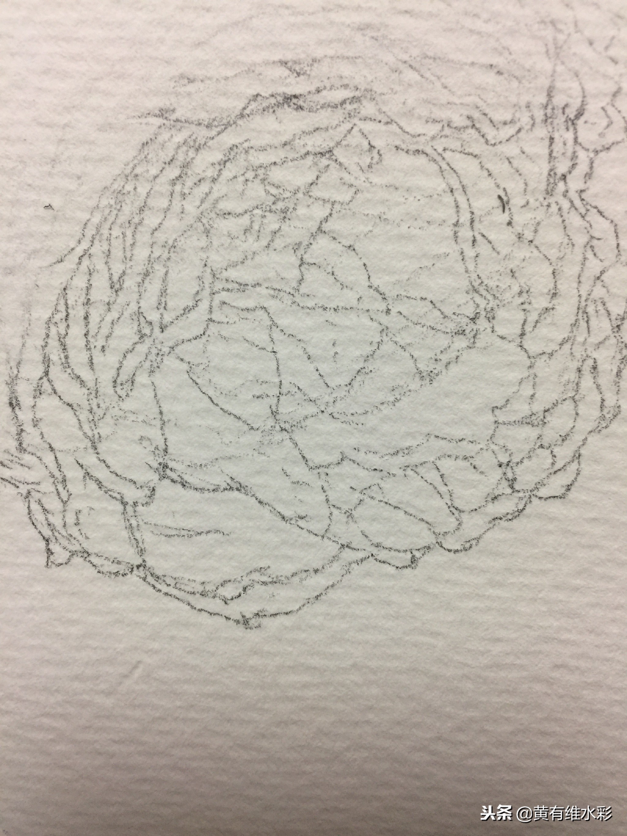 水彩教程简单好看手绘图片,水彩教程画花