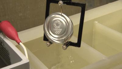 东京奥运会朱雪莹蹦床夺金视频,奥运会冠军朱雪莹