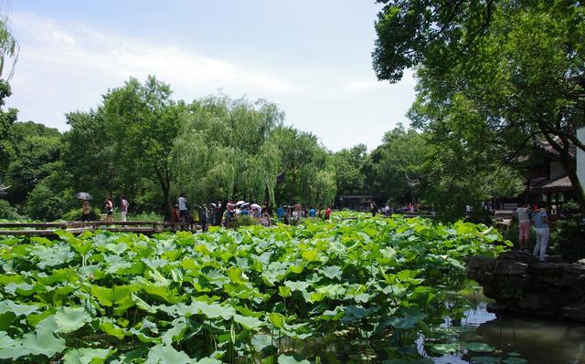 拙政园为什么是园林之首,中国四大名园之一苏州的拙政园