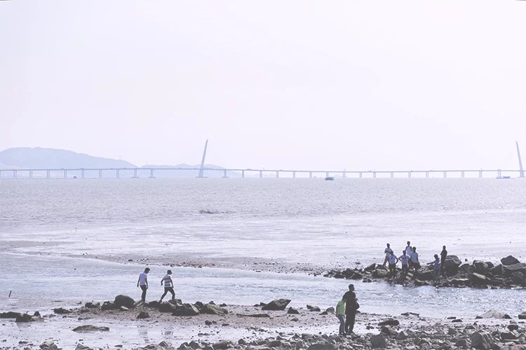 深圳游玩好去处攻略,深圳7个自驾游免费好去处推荐