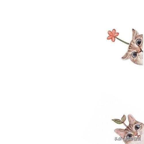 日语夸人常用语,用日语如何夸人可爱