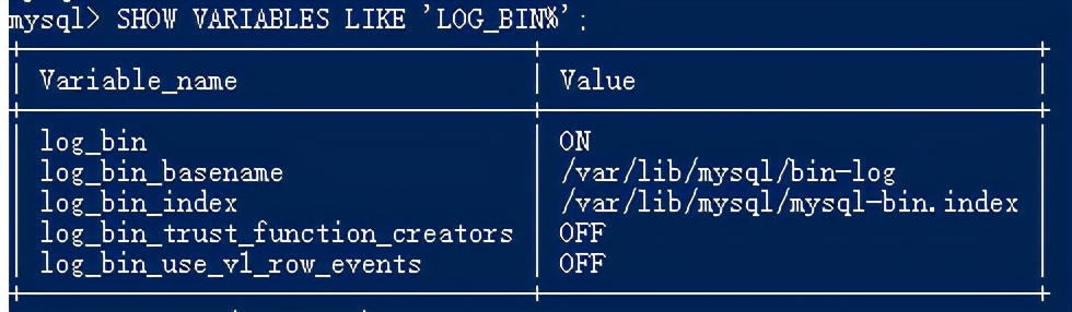 一键远程删库跑路解决方案,不小心删库了怎么办