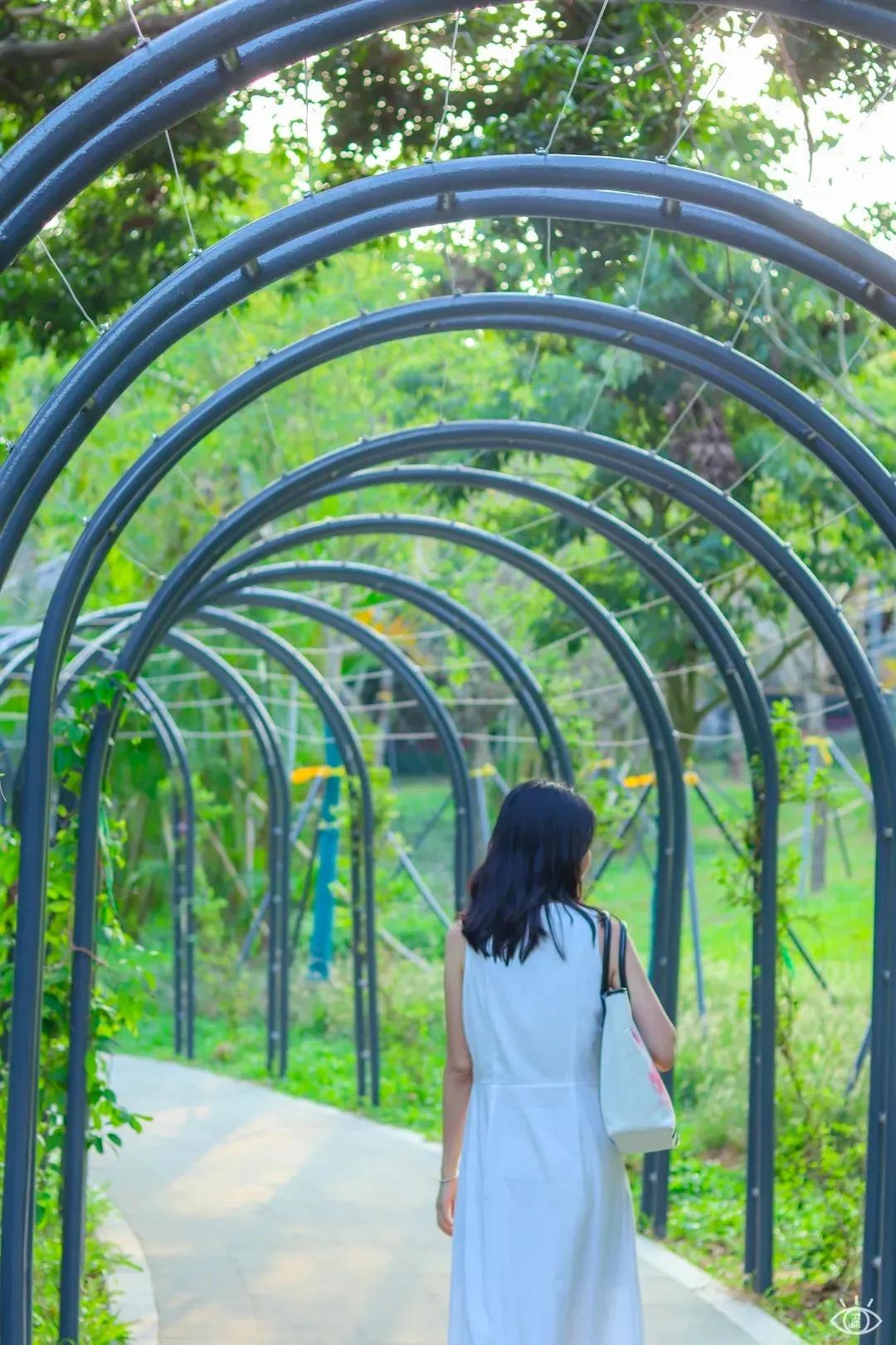 深圳免费景点好玩排名,深圳这些新公园免费玩