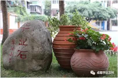 天府新区小学校排名,天府新区私立小学