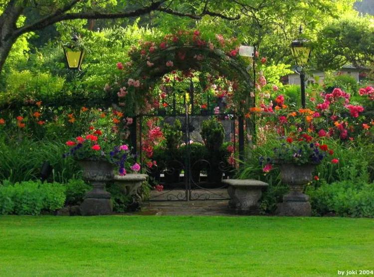 美景欣赏完整版,美景欣赏花朵