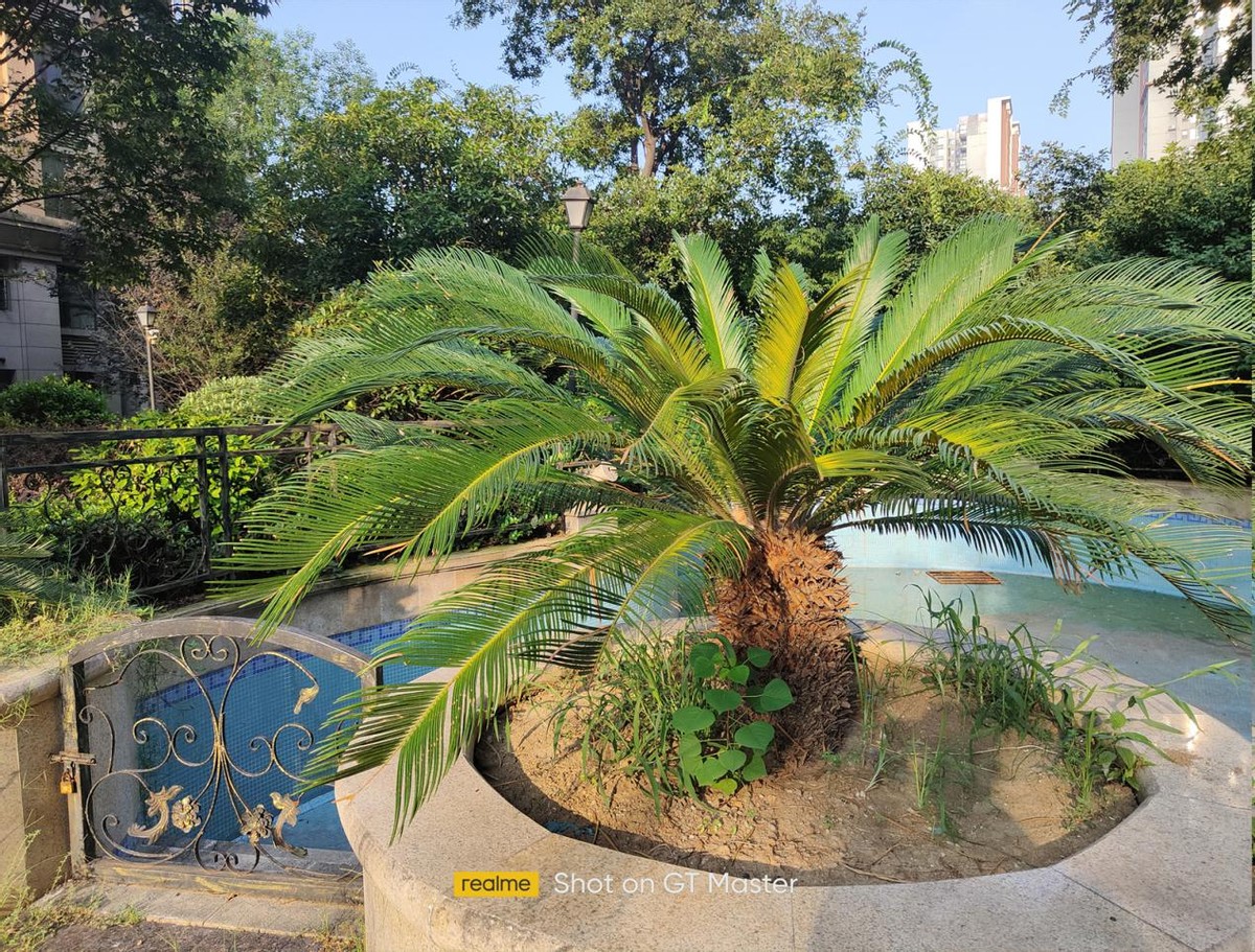 realme真我gt大师探索版手机1v4,realme真我gt2深度评测