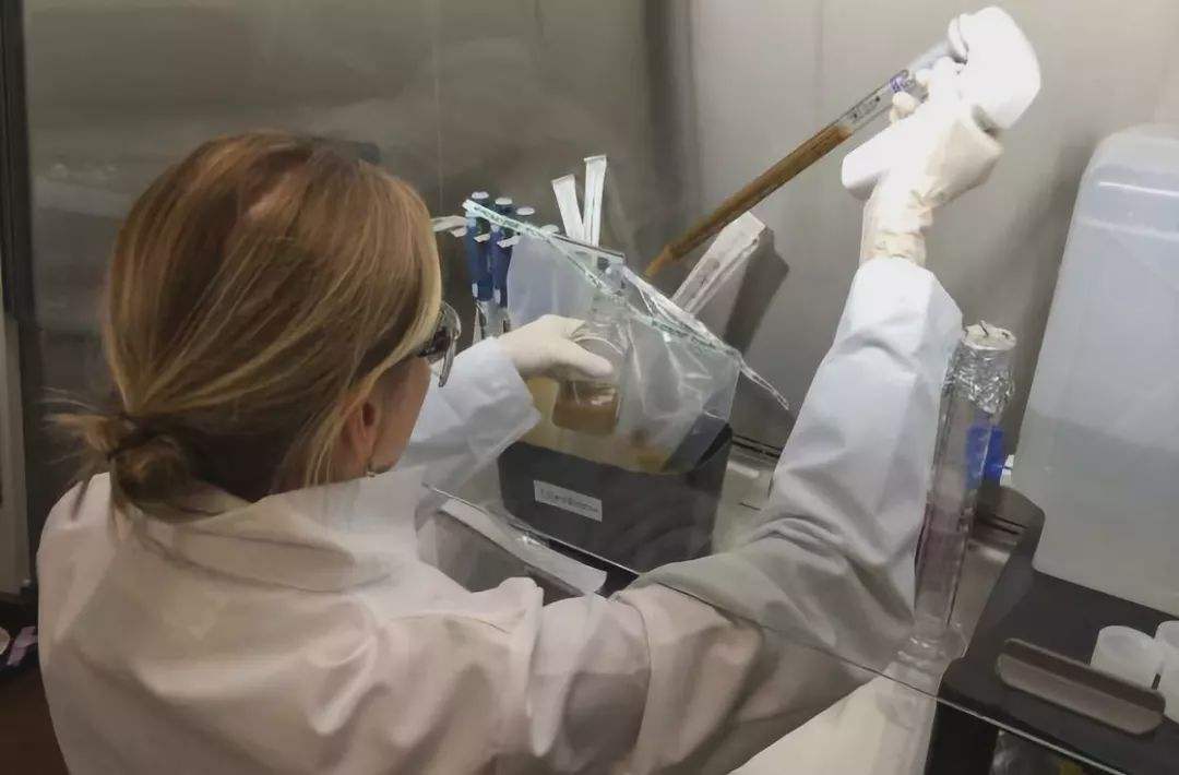 吃肉多屁多臭,肉吃多了屁多很臭怎么办