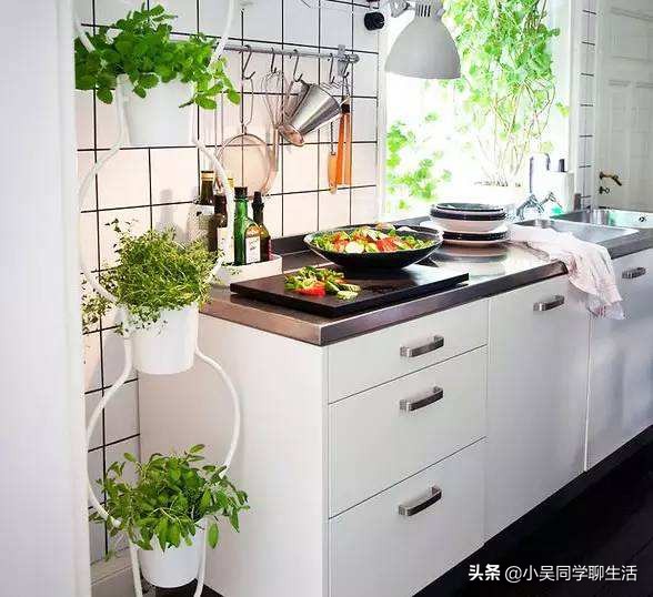 如何把屋顶花园改造成厨房,简易厨房花园