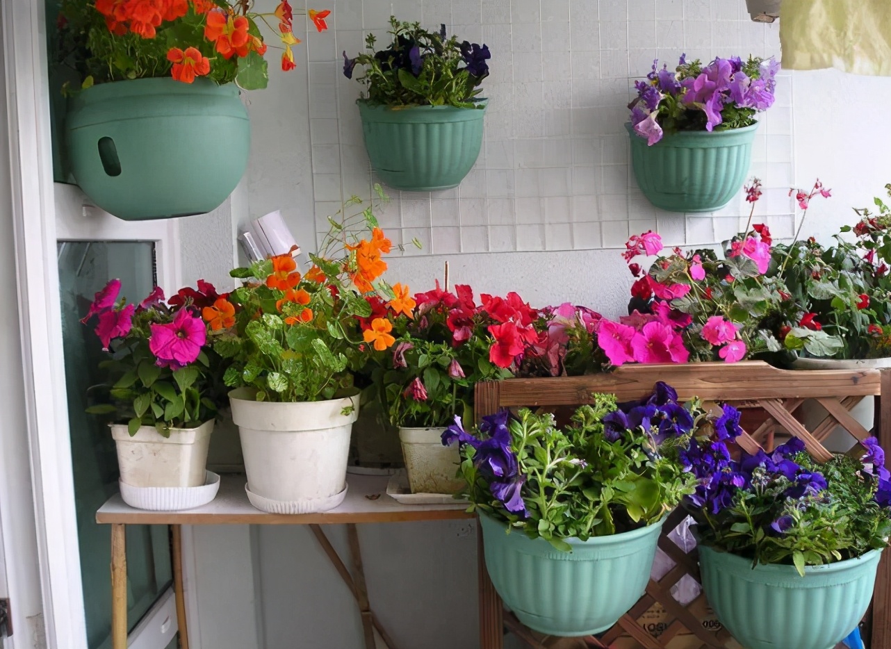 养花常见病虫害及处理方法,养花只用吡虫啉就能预防病虫害吗