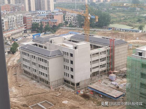 蹇冪郴姘戠敓鍙戝睍澶ц,蹇冪郴姘戠敓鍔╂帹鍙戝睍