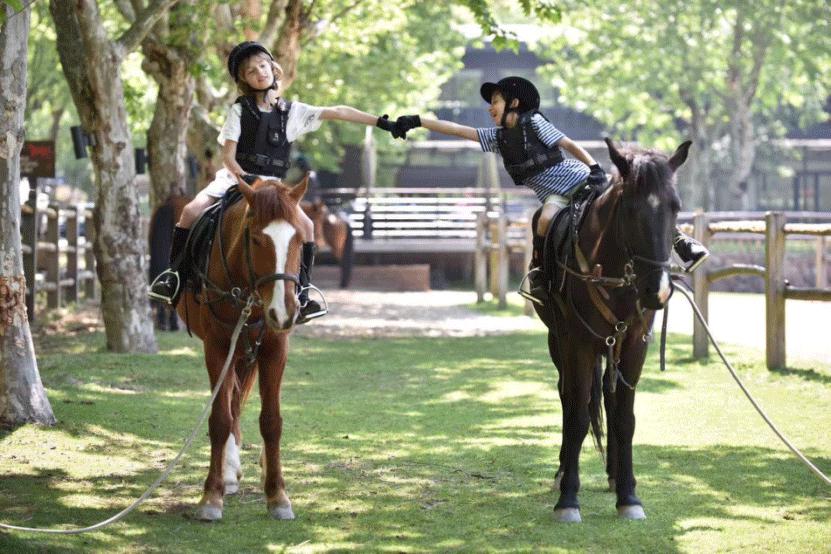 藏不住了！魔都9月，邂逅这58个宝藏惊喜