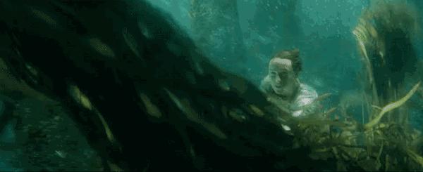 倪妮同款小猫咪,倪妮李宇春奇妙的动物