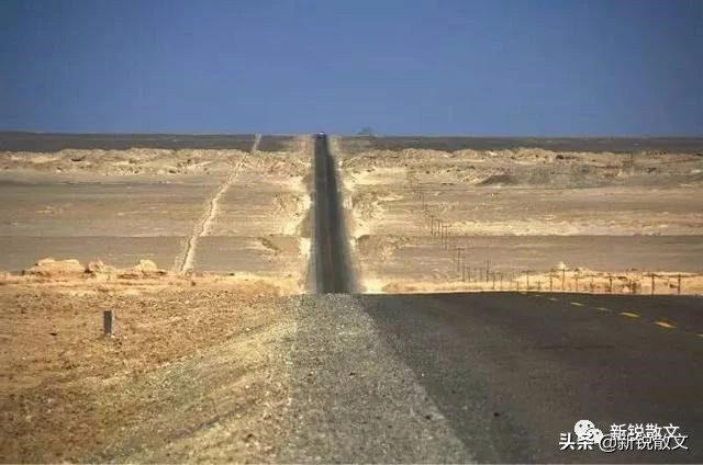 冷湖，生命已被镌刻，凝固成了化石，也许某一天，还会灿烂夺目