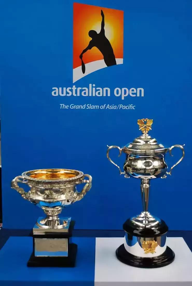 2013wta年终总决赛李娜vs小威,wta中国网球公开赛冠军积分和奖金