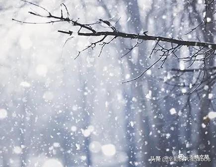 江苏昆山秀峰中学初一（14）班张栋添：乡情