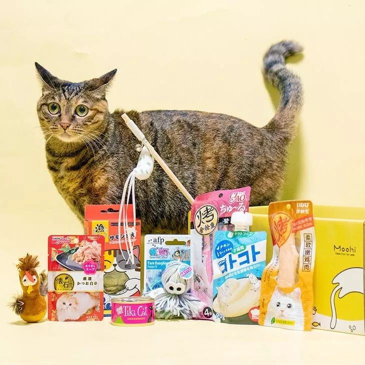 看了猫要吃的零食，你就知道为啥猫咪比娃还难带