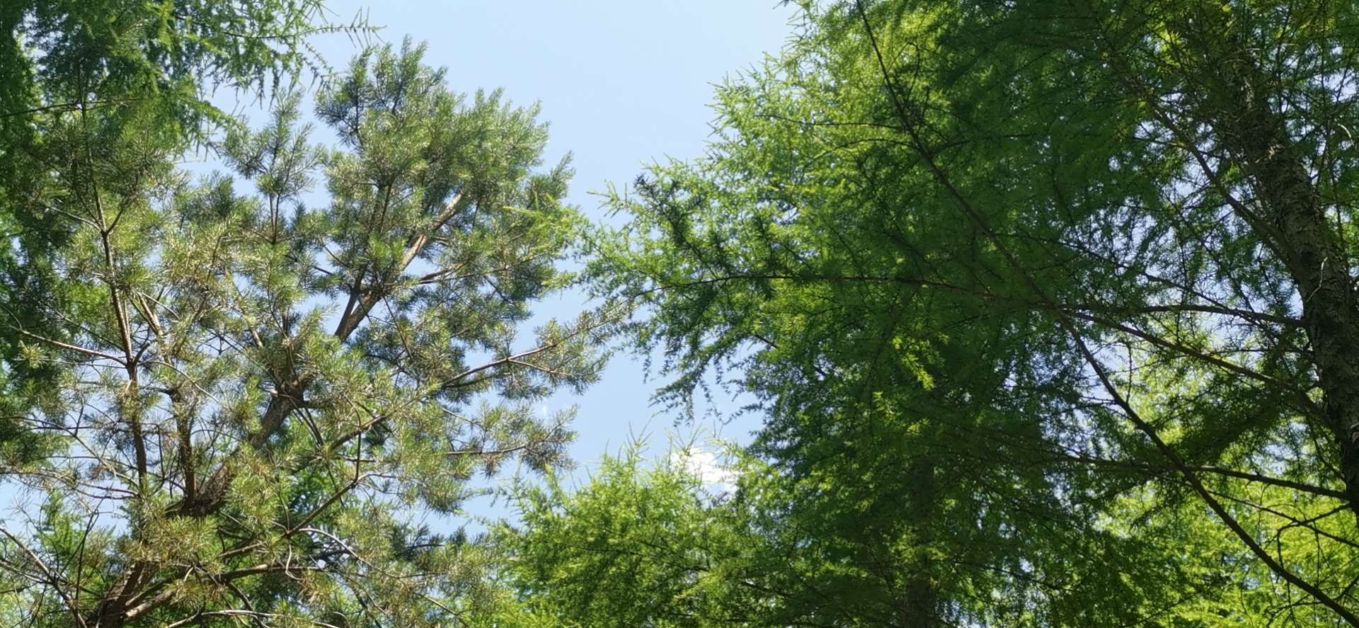 神奇的旅游城市,神奇的市区