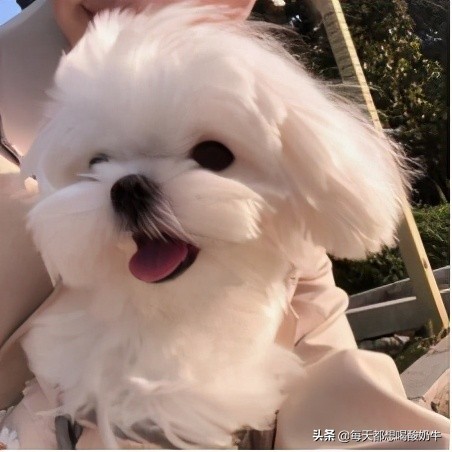 送媳妇什么礼物她会更开心,送女生什么会让女生开心