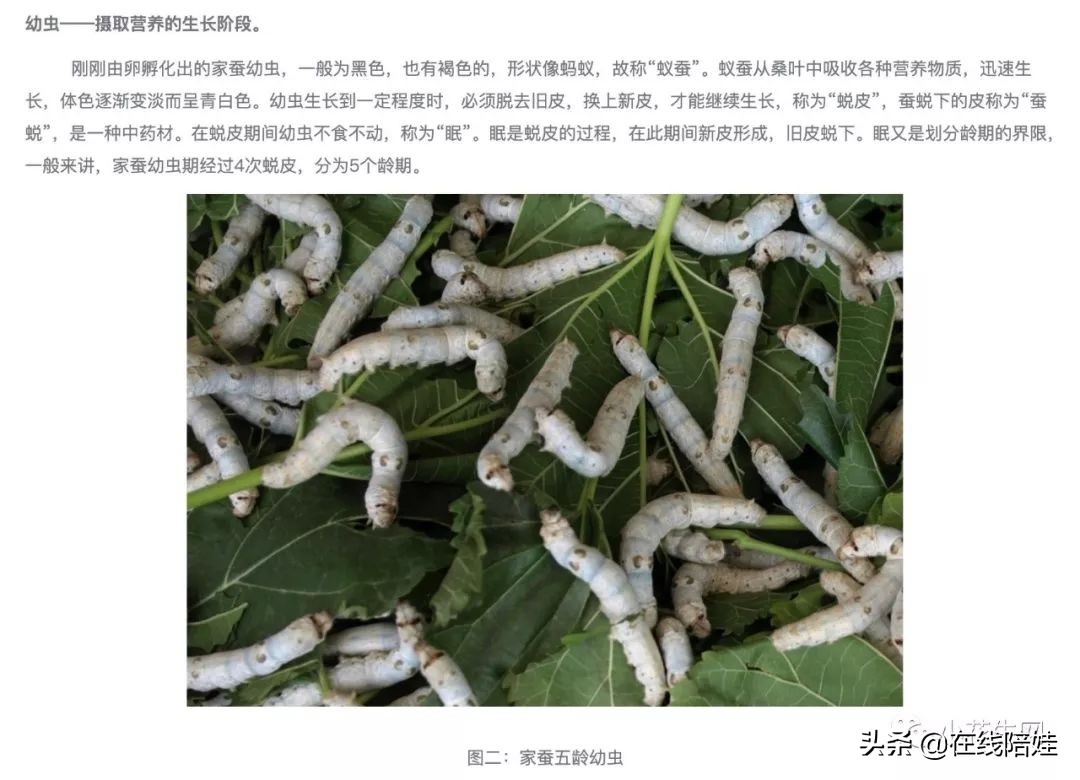 英文科普在线阅读,科普版英语免费软件