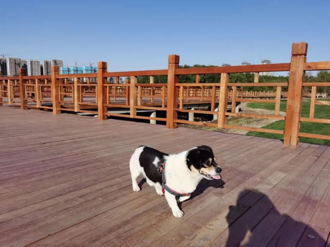 沈阳龙之梦游乐场门票多少钱,沈阳最大室内游乐场在哪里