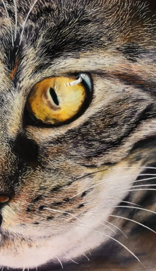 失明女孩铅笔画,手绘眼睛流泪铅笔画