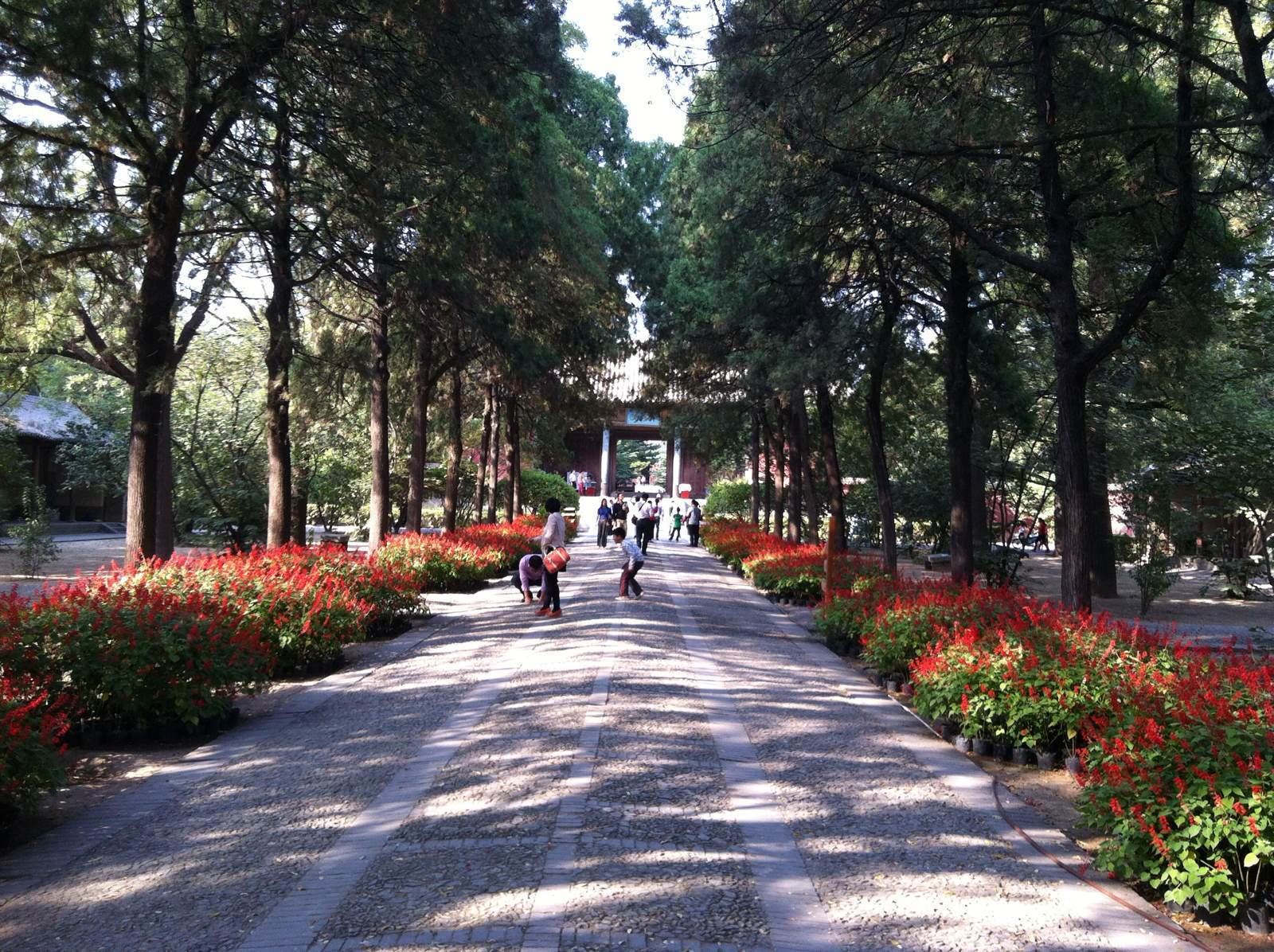 中国现存50大古建筑，享誉中外的旅游胜地，令人惊叹