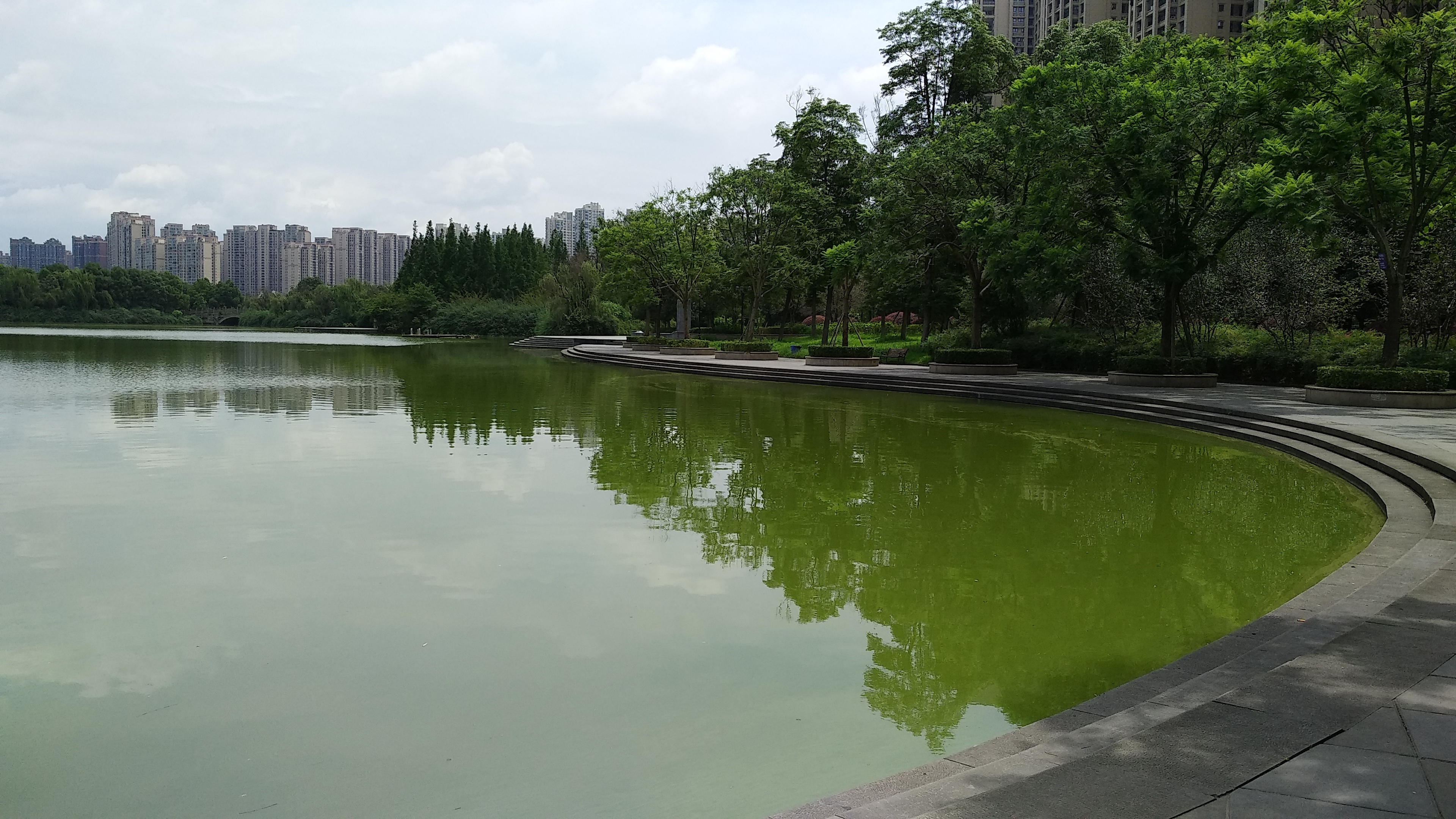 成都南湖公园钓鱼,成都南湖公园