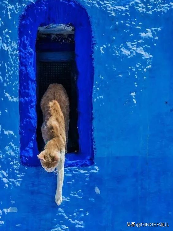 刚公布的潘通年度色怎么玩？