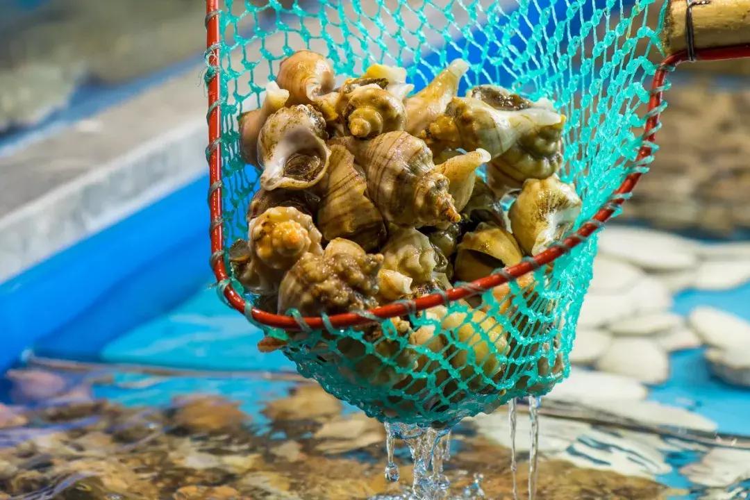 帝王蟹自助在哪里吃比较好,帝王蟹随便吃后续