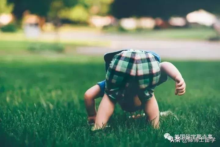 你以为的浪费时间才是最好的教育,现代人最缺的教育