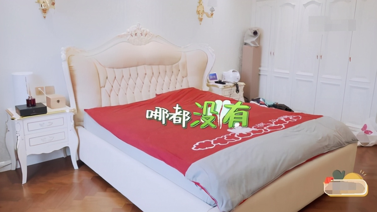 张继科豪宅别墅,张继科家的别墅有多大