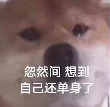 撩死人的香水推荐,十大撩汉香水推荐