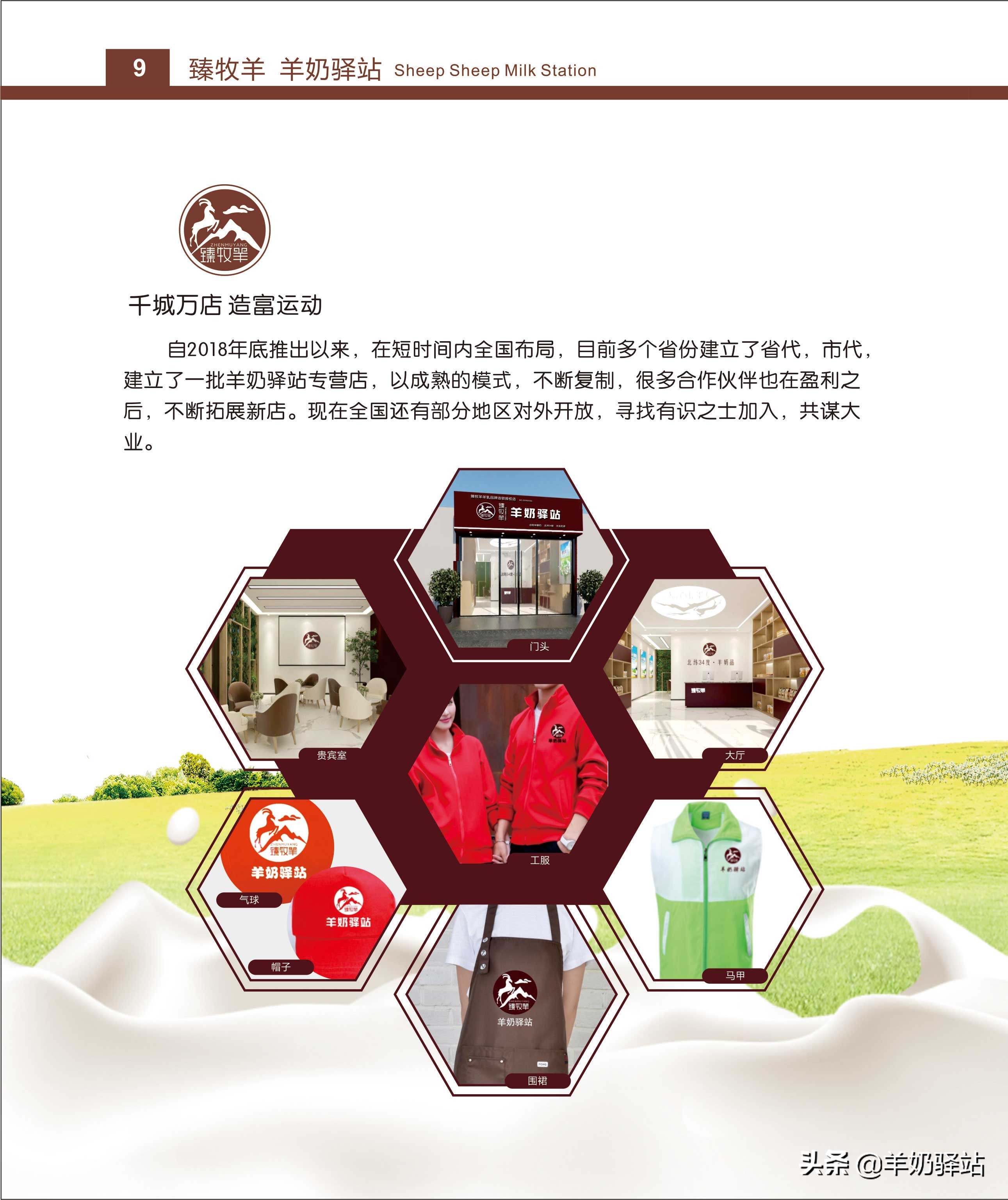羊奶驿站加盟宣传片,羊奶驿站加盟经营模式