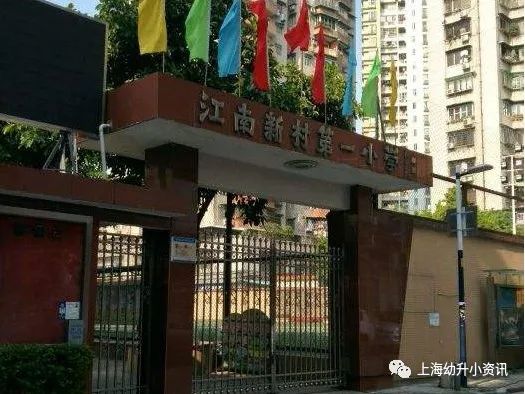 上海十大民办小学排名一览表最新,上海全市招生的民办小学
