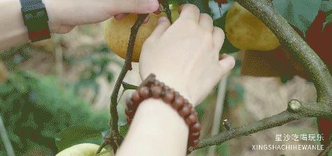 长沙小水果之乡,湖南长沙宝藏打卡地