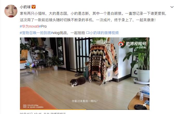 nova9和nova9哪个更值得买,nova9简配版和标配版区别