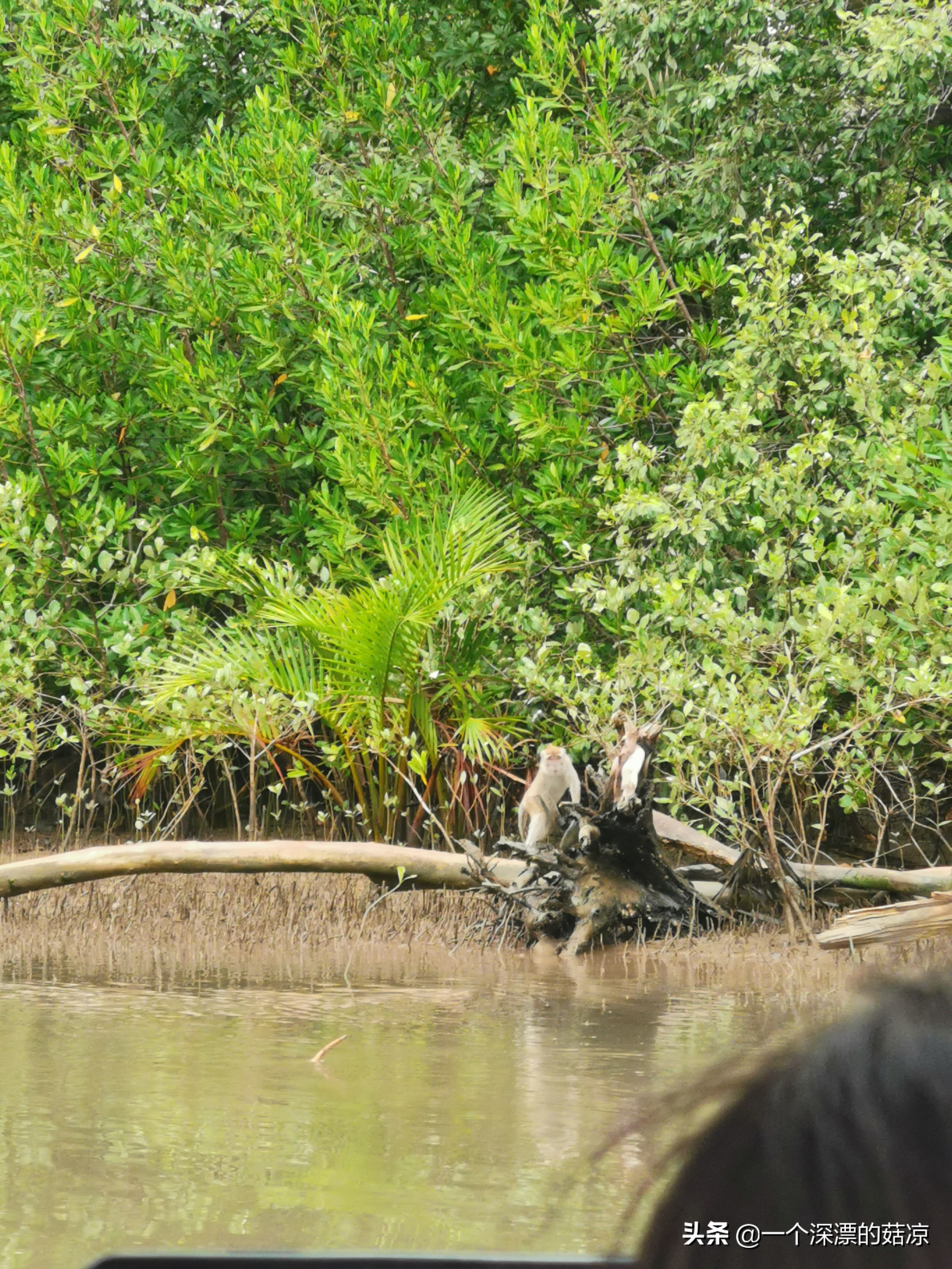 在夏天结束之前再去海边,在夏天结束前去海边
