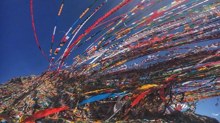 央视镜头下的杨紫文成公主,杨紫文成公主上热搜场面