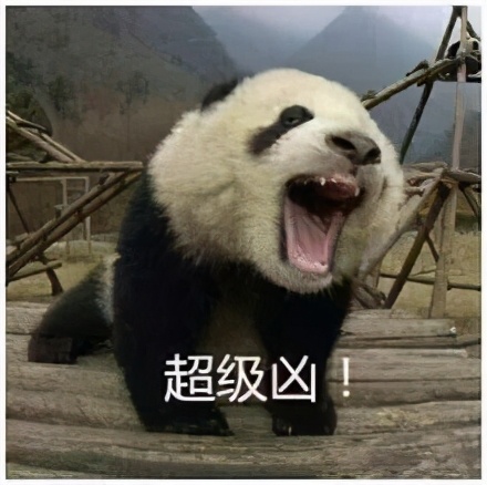 考研复试邮件正文,考研复试导师邮件内容