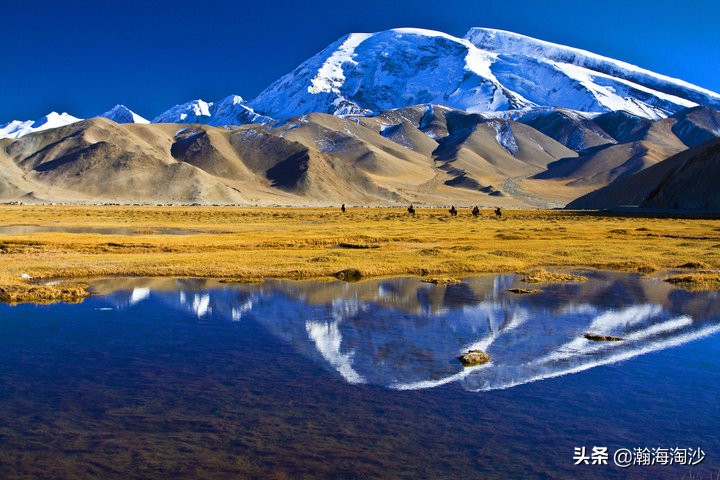 丝绸之路的新疆有多繁荣,丝绸之路上的新疆