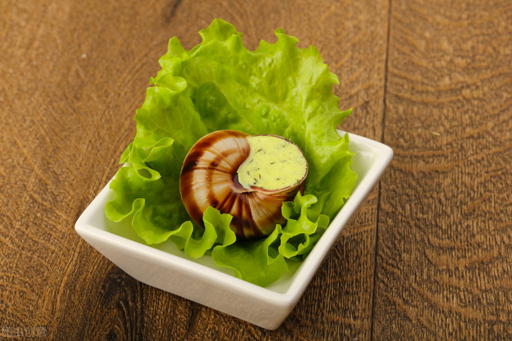 非洲人爱吃的大蜗牛，为何在我国泛滥也无人敢吃？这是有教训的