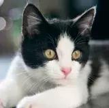 青岛比如世界门票,青岛一日游最佳方案