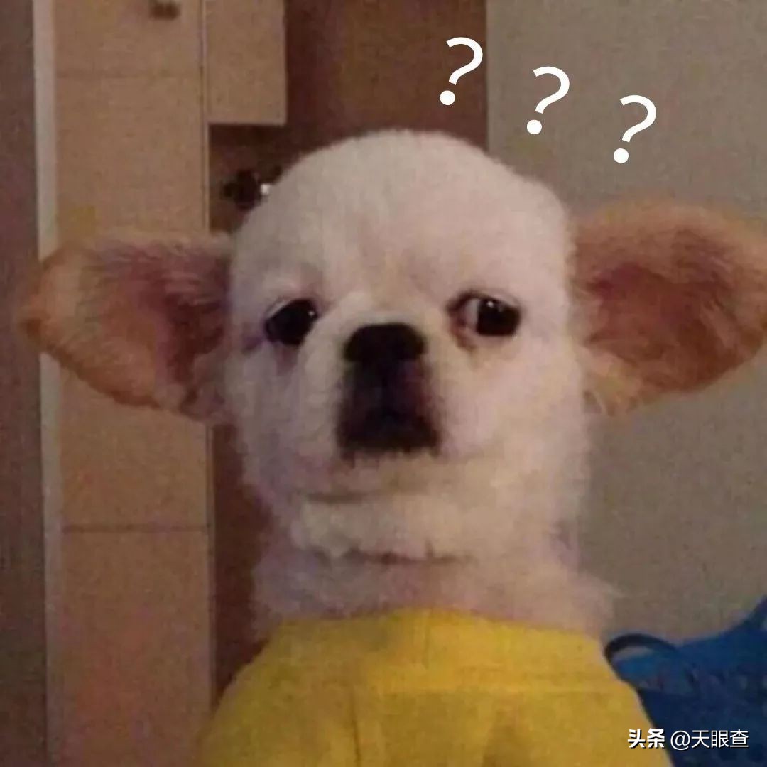 人人网外国女性社交网站,中国第一社交网站