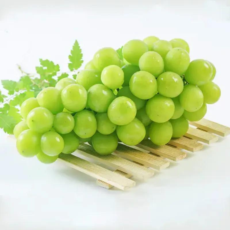 鍗佸牥瓒呭叏钄彍姘存灉,鍗佸牥鏂伴矞姘存灉